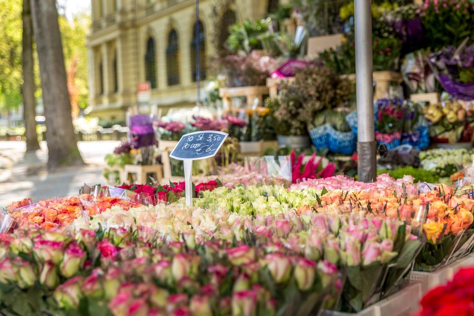 A vibrant outdoor flower market display featuring a large assortment of fresh roses in shades of pink, peach, and cream, arranged in bouquets and wrapped in clear cellophane. The flowers are densely p